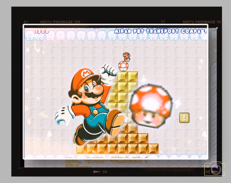 mario5_副本_副2本.jpg