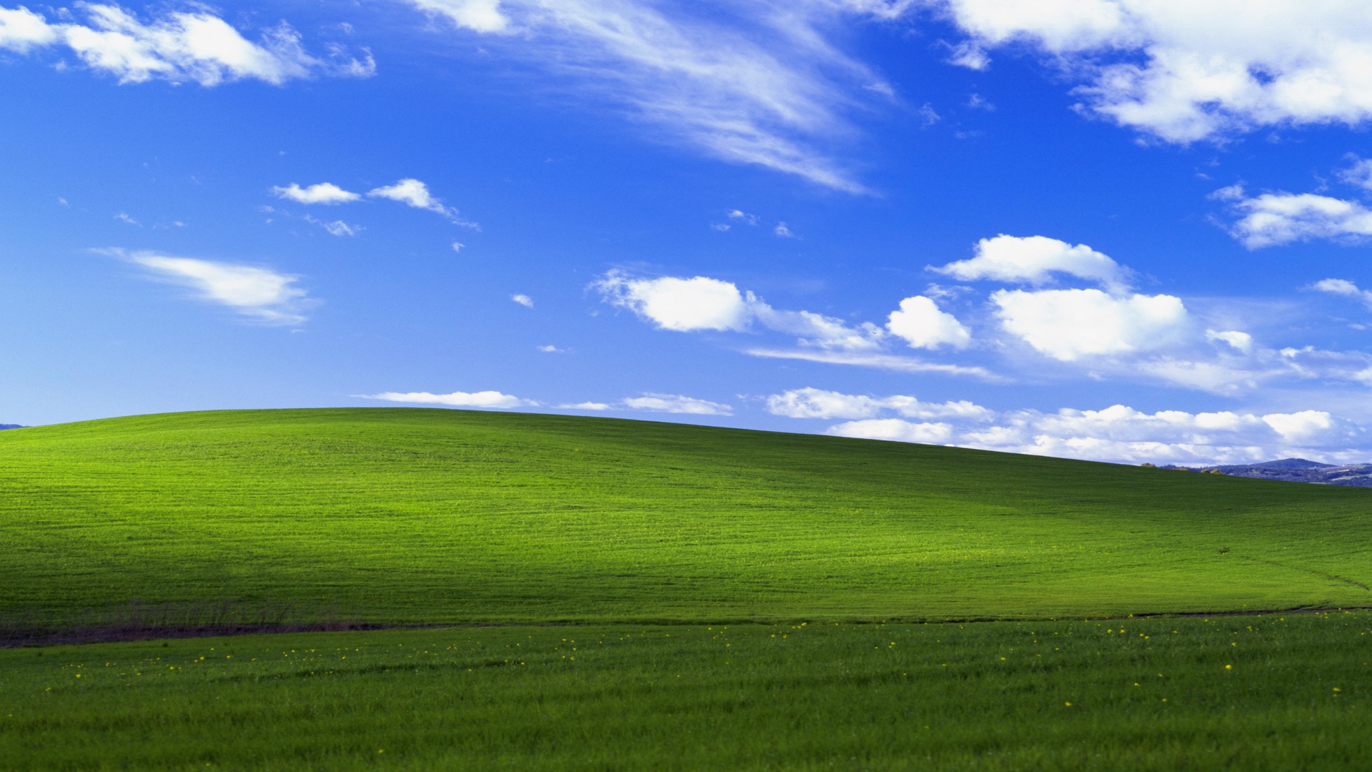 windows-xp-bliss-4k-lu-1920x1080.jpg