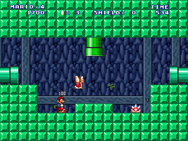 ⑤-Forest Cave Surveyor-2-2.jpg