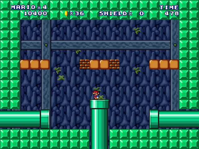 ⑤-Forest Cave Surveyor-2-3.jpg