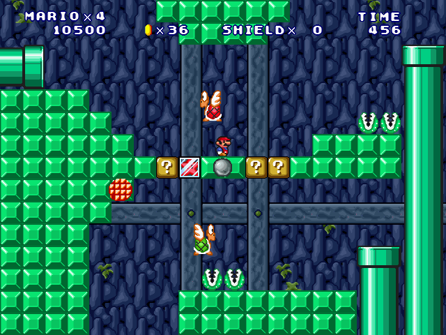 ⑤-Forest Cave Surveyor-2-4.jpg