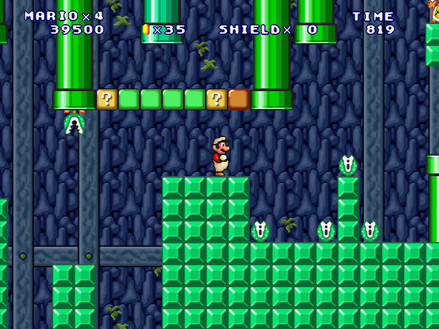 ⑤-Forest Cave Surveyor-2-10.jpg