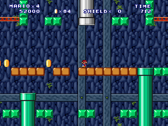 ⑤-Forest Cave Surveyor-2-11.jpg