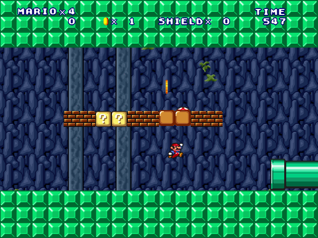 ⑤-Forest Cave Surveyor-2-1.jpg