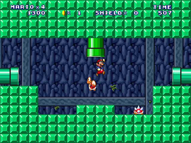 ⑤-Forest Cave Surveyor-2-2.jpg