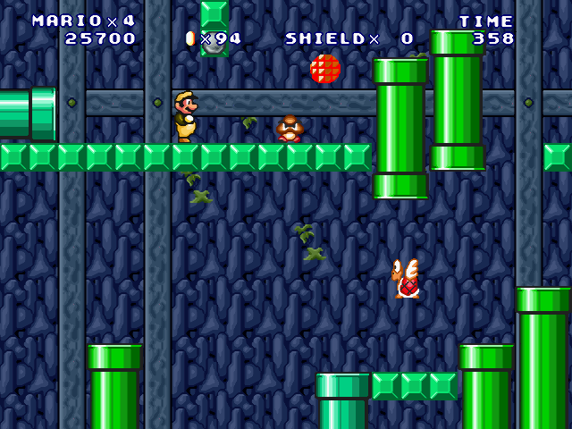 ⑤-Forest Cave Surveyor-2-11.jpg
