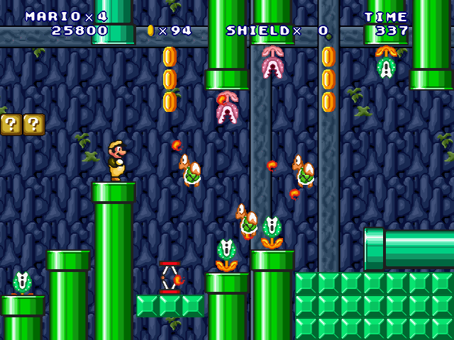 ⑤-Forest Cave Surveyor-2-12.jpg