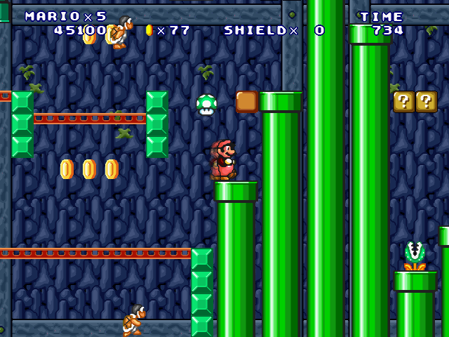 ⑤-Forest Cave Surveyor-2-26.jpg