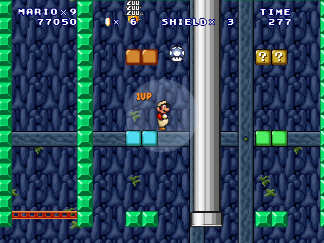 ⑤-Forest Cave Surveyor-2-30.jpg
