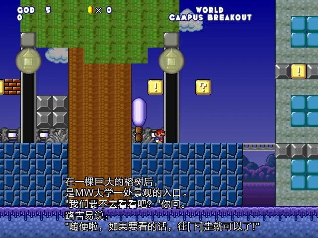 5.webp